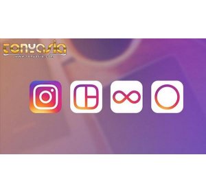 Instagram Rilis Fitur Rekomendasi Unggahan | Sabung Ayam | Sabung Ayam Online